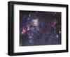 The Tarantula Nebula-Stocktrek Images-Framed Photographic Print