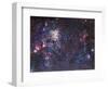 The Tarantula Nebula-Stocktrek Images-Framed Photographic Print