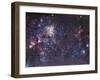 The Tarantula Nebula-Stocktrek Images-Framed Photographic Print