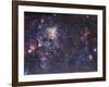 The Tarantula Nebula-Stocktrek Images-Framed Photographic Print