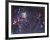 The Tarantula Nebula-Stocktrek Images-Framed Photographic Print