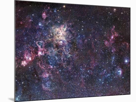 The Tarantula Nebula-Stocktrek Images-Mounted Photographic Print