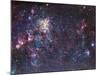 The Tarantula Nebula-Stocktrek Images-Mounted Photographic Print
