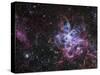 The Tarantula Nebula-Stocktrek Images-Stretched Canvas