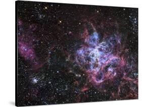 The Tarantula Nebula-Stocktrek Images-Stretched Canvas