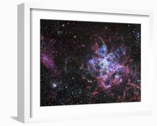 The Tarantula Nebula-Stocktrek Images-Framed Photographic Print