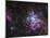 The Tarantula Nebula-Stocktrek Images-Mounted Photographic Print