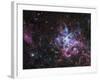 The Tarantula Nebula-Stocktrek Images-Framed Photographic Print