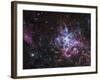 The Tarantula Nebula-Stocktrek Images-Framed Photographic Print