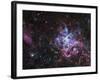 The Tarantula Nebula-Stocktrek Images-Framed Photographic Print