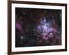 The Tarantula Nebula-Stocktrek Images-Framed Photographic Print