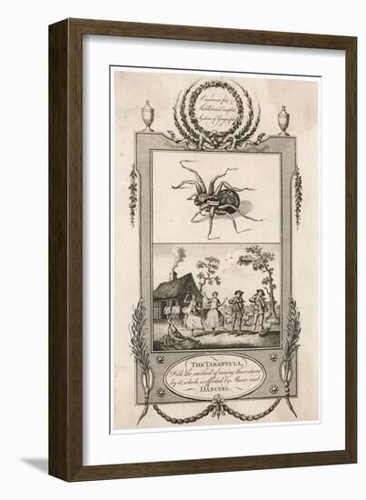 The Tarantula-null-Framed Art Print