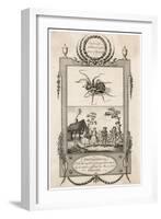 The Tarantula-null-Framed Art Print