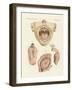 The Taste-null-Framed Giclee Print