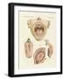 The Taste-null-Framed Giclee Print