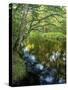 The Taunton River in Bridgewater, Massachusetts, Usa-Jerry & Marcy Monkman-Stretched Canvas