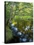 The Taunton River in Bridgewater, Massachusetts, Usa-Jerry & Marcy Monkman-Stretched Canvas