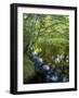 The Taunton River in Bridgewater, Massachusetts, Usa-Jerry & Marcy Monkman-Framed Photographic Print