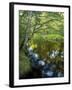 The Taunton River in Bridgewater, Massachusetts, Usa-Jerry & Marcy Monkman-Framed Photographic Print