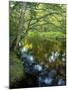 The Taunton River in Bridgewater, Massachusetts, Usa-Jerry & Marcy Monkman-Mounted Photographic Print