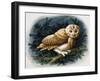 The Tawny Owl, 1970-John Chalkley-Framed Giclee Print