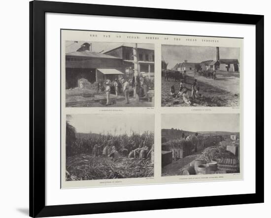 The Tax on Sugar, Scenes of the Sugar Industry-null-Framed Giclee Print