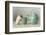 The Teapot-Ellen Van Deelen-Framed Photographic Print