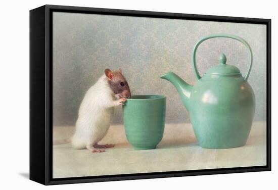 The Teapot-Ellen Van Deelen-Framed Stretched Canvas