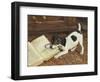 The Tearaway-Frank Paton-Framed Giclee Print