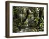 The Temperate House at Kew-Felicity House-Framed Giclee Print