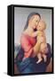 The 'Tempi' Madonna, 1508-Raphael-Framed Stretched Canvas