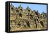 The Temple Complex of Borobodur, UNESCO World Heritage Site, Java, Indonesia, Southeast Asia, Asia-Michael Runkel-Framed Stretched Canvas
