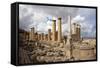 The Temple of Apollo, Cyrene, UNESCO World Heritage Site, Libya, North Africa, Africa-Oliviero Olivieri-Framed Stretched Canvas