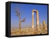 The Temple of Hercules, Amman, Jordan, Middle East-Neale Clarke-Framed Stretched Canvas