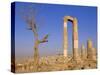 The Temple of Hercules, Amman, Jordan, Middle East-Neale Clarke-Stretched Canvas