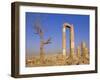 The Temple of Hercules, Amman, Jordan, Middle East-Neale Clarke-Framed Photographic Print