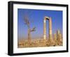 The Temple of Hercules, Amman, Jordan, Middle East-Neale Clarke-Framed Photographic Print