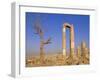 The Temple of Hercules, Amman, Jordan, Middle East-Neale Clarke-Framed Photographic Print