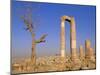 The Temple of Hercules, Amman, Jordan, Middle East-Neale Clarke-Mounted Photographic Print