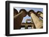 The Temple of Karnak at Luxor, Egypt.-Julien McRoberts-Framed Photographic Print