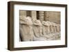 The Temple of Karnak at Luxor, Egypt.-Julien McRoberts-Framed Photographic Print