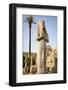 The Temple of Karnak at Luxor, Egypt.-Julien McRoberts-Framed Photographic Print