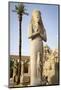 The Temple of Karnak at Luxor, Egypt.-Julien McRoberts-Mounted Photographic Print