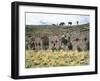 The Temple of the Virgins of the Sun on the Island of the Moon, Lake Titicaca-null-Framed Giclee Print