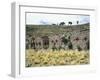 The Temple of the Virgins of the Sun on the Island of the Moon, Lake Titicaca-null-Framed Giclee Print