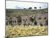 The Temple of the Virgins of the Sun on the Island of the Moon, Lake Titicaca-null-Mounted Giclee Print