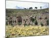 The Temple of the Virgins of the Sun on the Island of the Moon, Lake Titicaca-null-Mounted Giclee Print