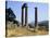 The Temple of Zeus in Nemea, Greece-null-Stretched Canvas