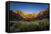 The Temples and Towers of Virgin in Utah's Zion National Park at Sunrise-Clint Losee-Framed Stretched Canvas