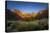 The Temples and Towers of Virgin in Utah's Zion National Park at Sunrise-Clint Losee-Stretched Canvas